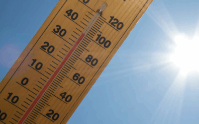 Working in Hot Weather: Stay Cool, Stay Safe