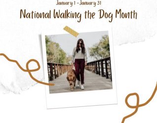 “Walk Your Dog” Month