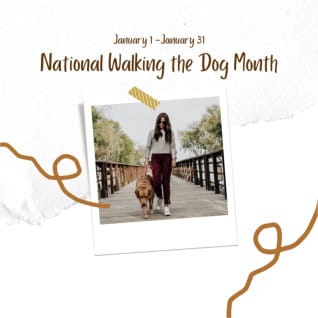 “Walk Your Dog” Month