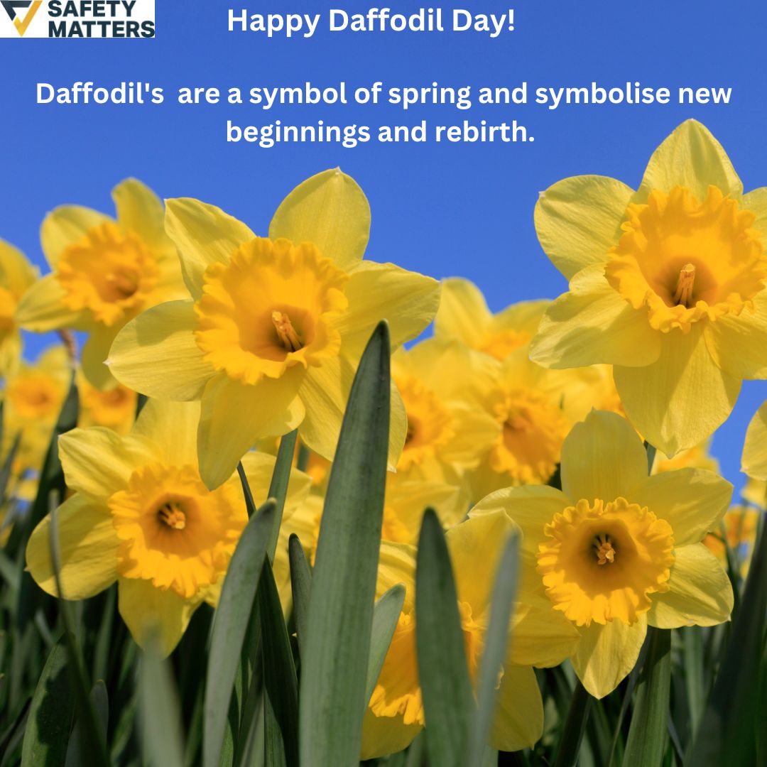 Celebrate Daffodil Day Safety Matters