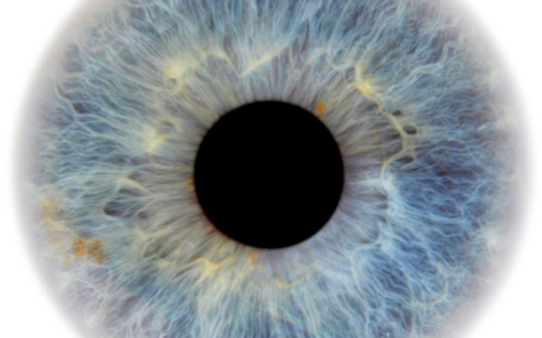 Importance of Eye Health…