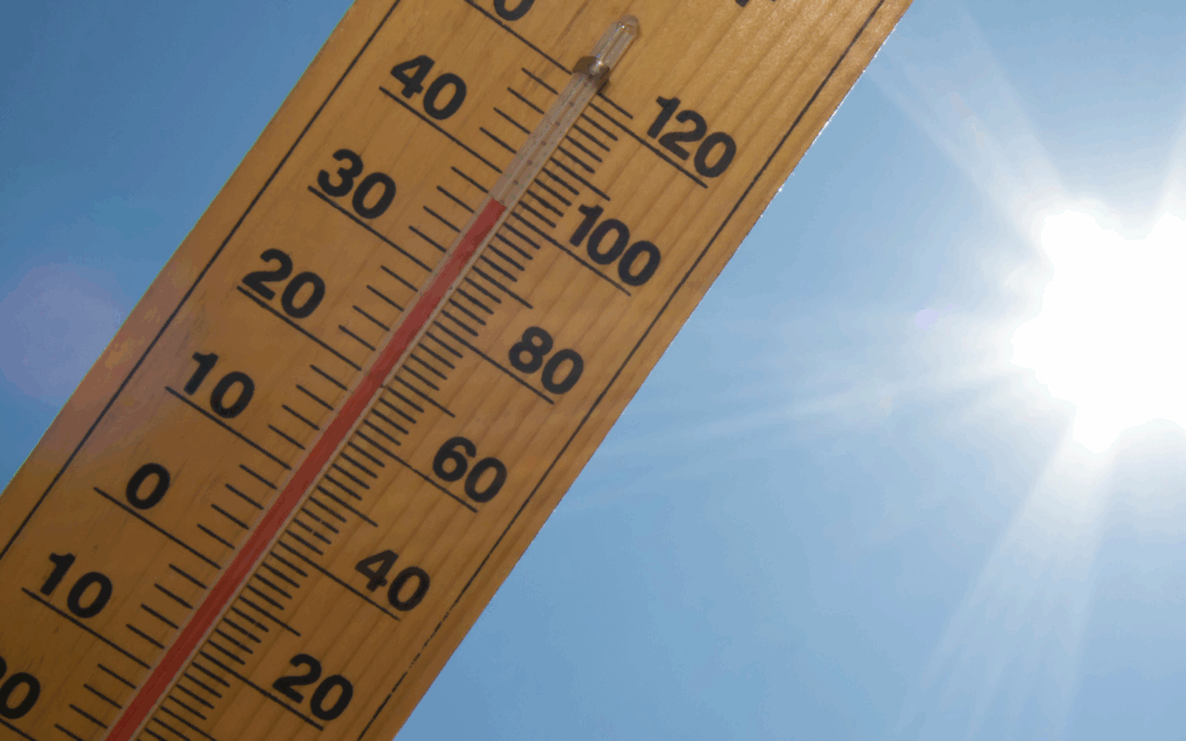 Working in Hot Weather: Stay Cool, Stay Safe